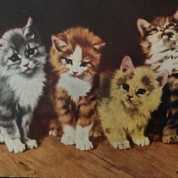 ~Welcome to my Closet~ - Picture 4 of 15